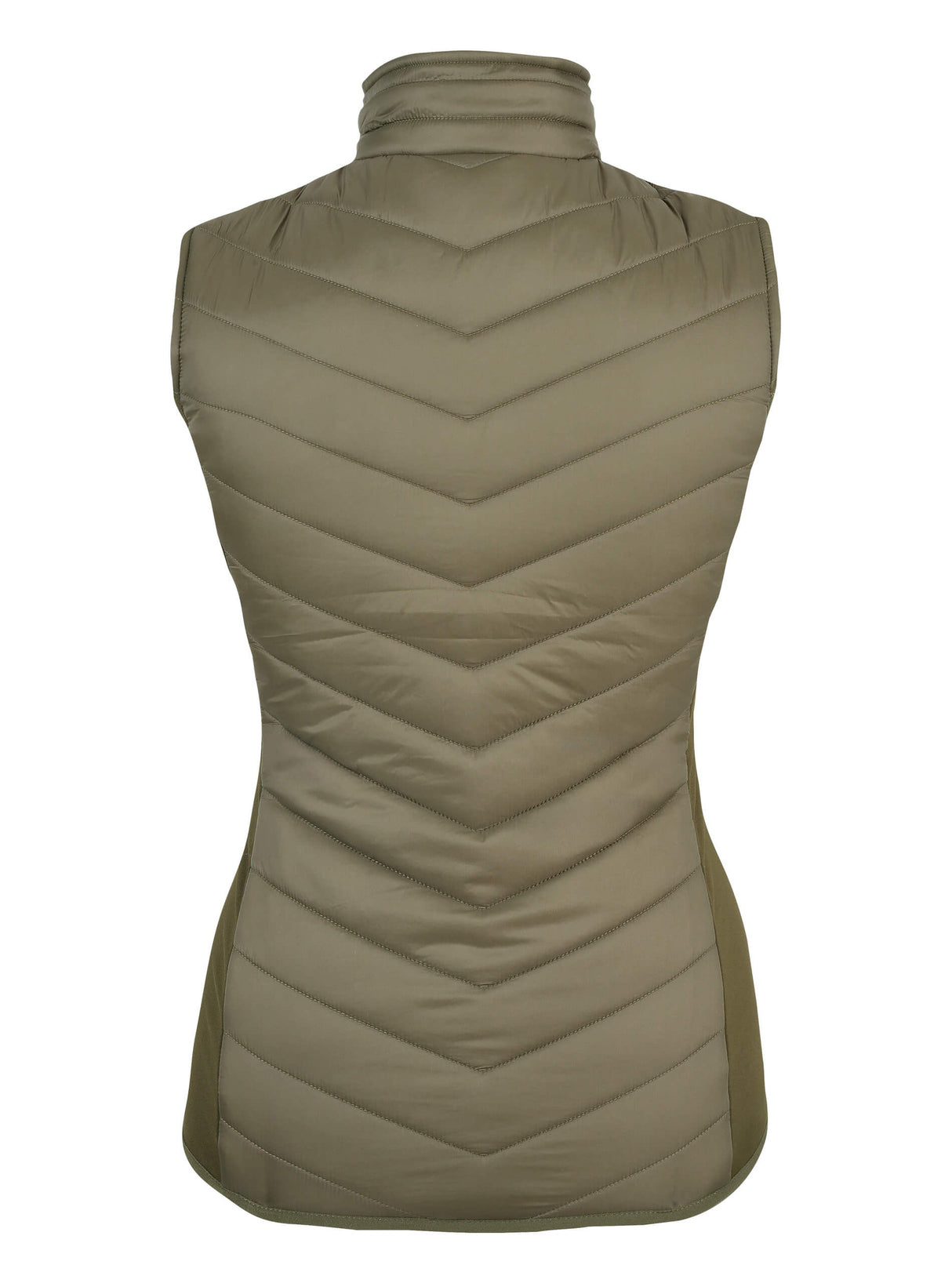 Dames Shires Bodywarmer Groen