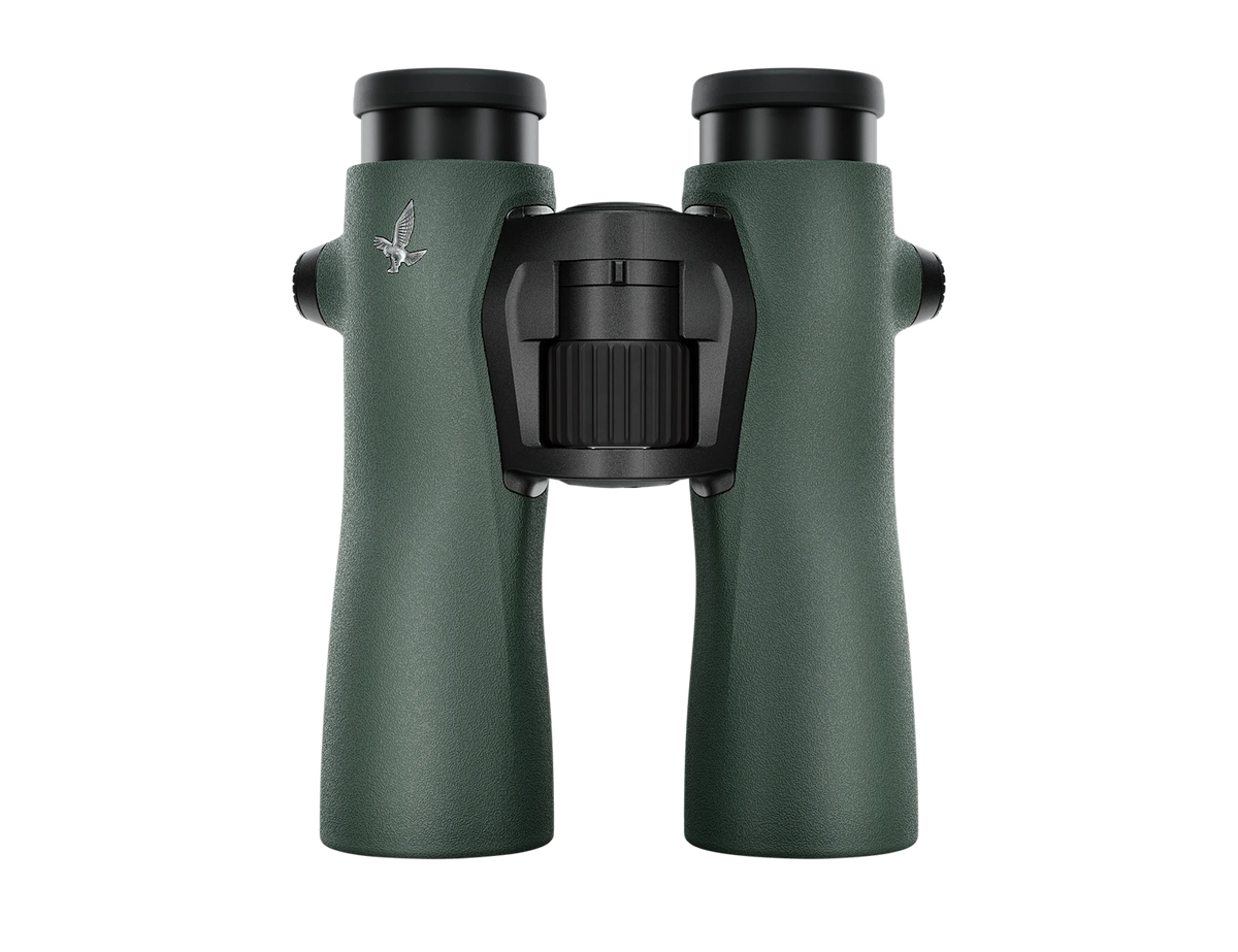 Swarovski NL Pure 8x42, groen – officiële productfoto