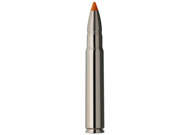 Kogelpatronen RWS 9.3x62 mm HIT Short Rifle 250 grain (3)