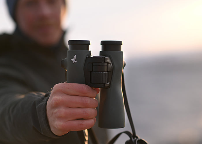 Swarovski NL Pure 10x42 Binoculars