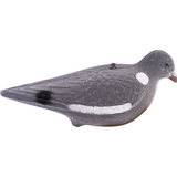Geflockte Duif Lokvogel Volledig Lichaam