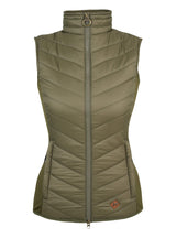 Dames Shires Bodywarmer Groen