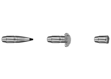 Kogelpatronen RWS .30-06 Sprfd Speed Tip Professional Short Rifle 165 grain (2)