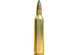 Kogelpatronen Sellier & Bellot .22-250 Rem SP 55 grain (2)