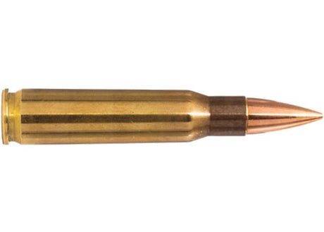 Kogelpatronen Norma Range & Training .308 Win FMJ 150 grain (2)