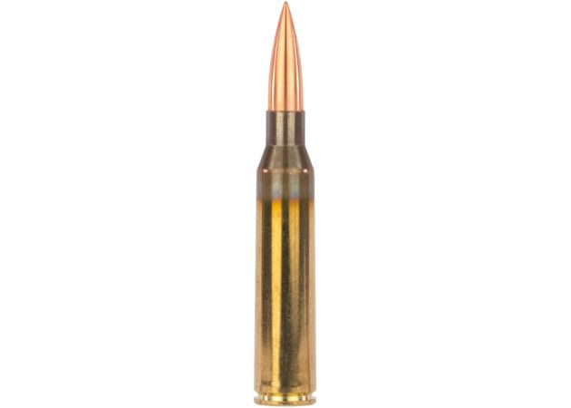 Kogelpatronen SSD Pandora .338 Lapua Magnum Solid 245 grain (2)