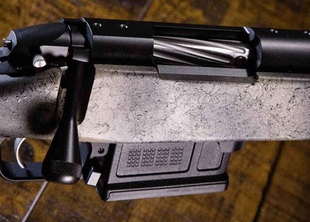 Bergara Premier Ridgeback (2)