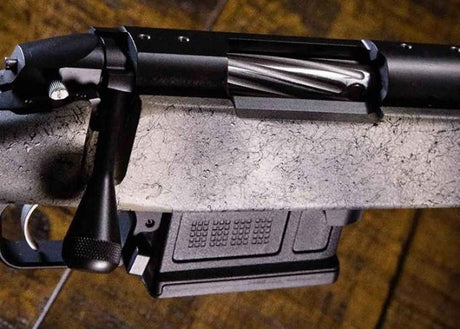 Bergara Premier Ridgeback (2)