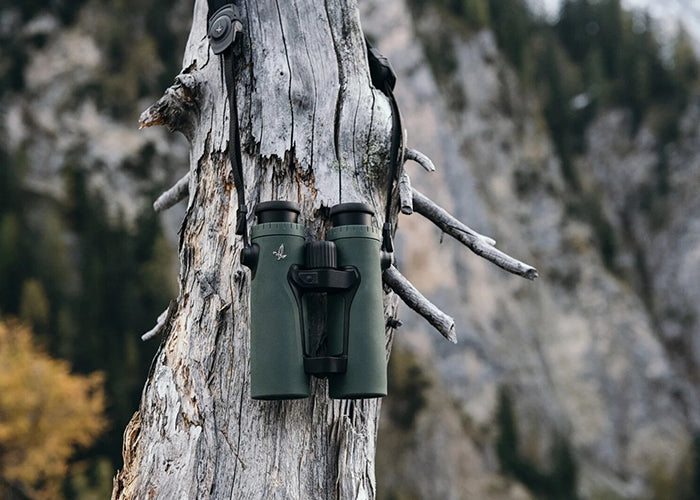 Swarovski EL Range 8x42 TA Binoculars