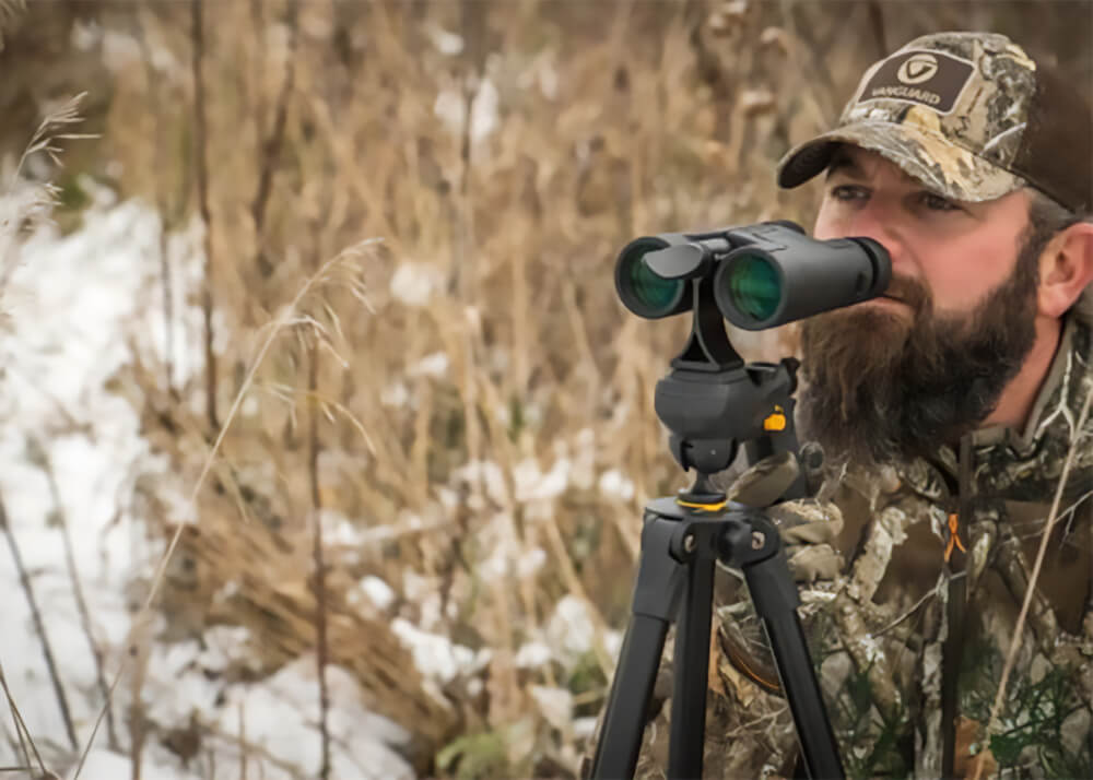Vanguard Vesta 10x42 Binoculars