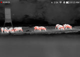DNT Hound H325R Thermal Imager