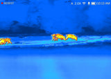 DNT Hound H635R Thermal Imaging Camera