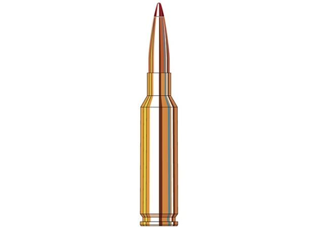 Kogelpatronen Hornady 6.5 Creedmoor ELD Match 147 grain (3)