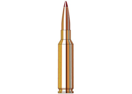 Kogelpatronen Hornady 6.5 Creedmoor ELD Match 147 grain (3)