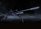 Silencer FOX Silencer Tune