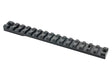 Montagerail EAW Sauer 100 Weaver/Picatinny