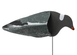 Duivenlokker Sillosocks Harvester 12-Pack (2)
