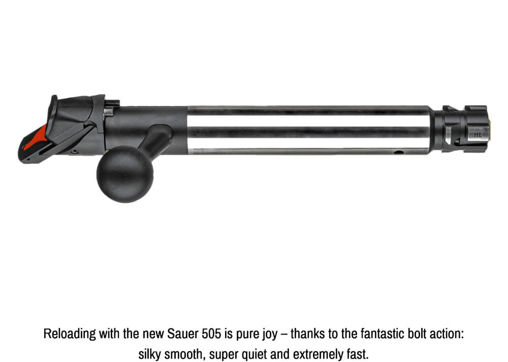 Sauer 505 Ergolux Elegance with Adjustable Cheekpiece