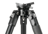 Tripod Vanguard Endeavor L 303AGM65 - Aluminum
